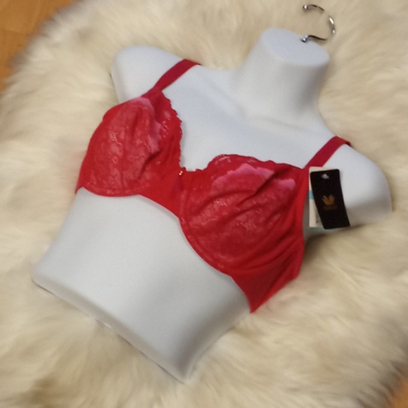 Wacoal Lace & Mesh Pinks Bra - Picture 10 of 16